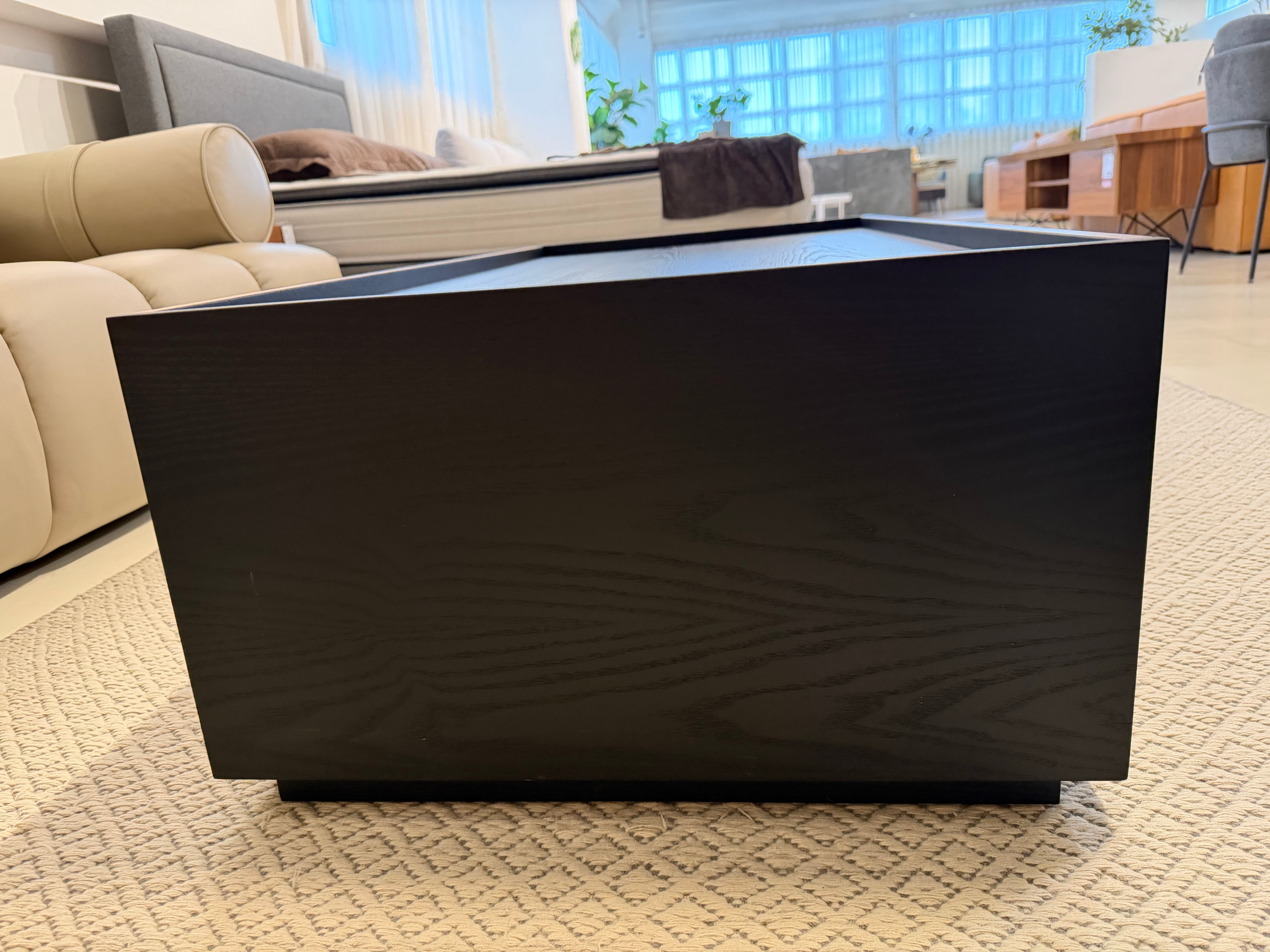 Luisa Wood Coffee Table (with Storage)