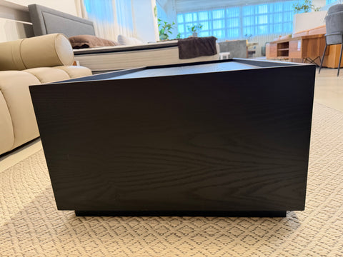 Luisa Wood Coffee Table (with Storage)
