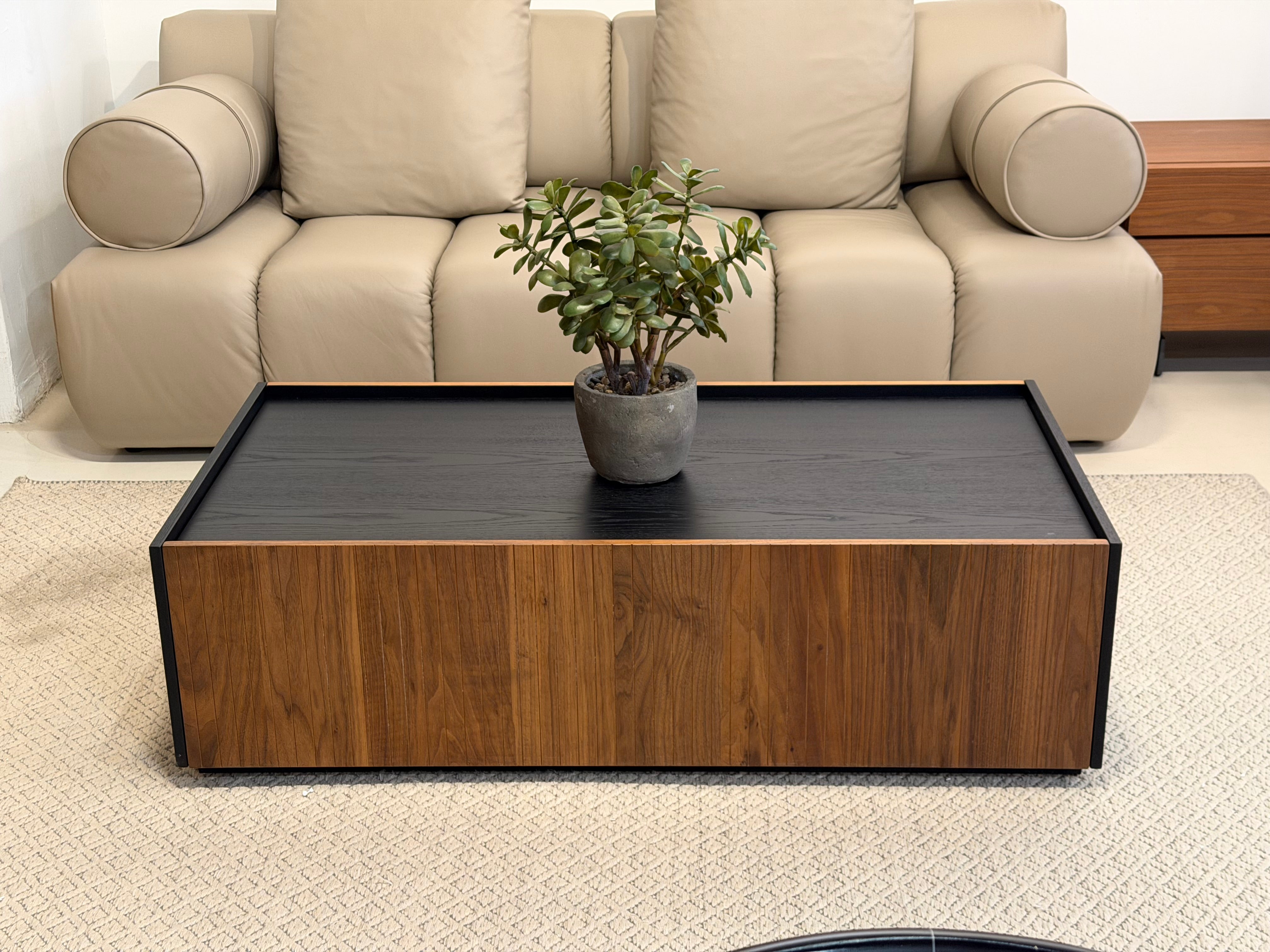 Luisa Wood Coffee Table (with Storage)