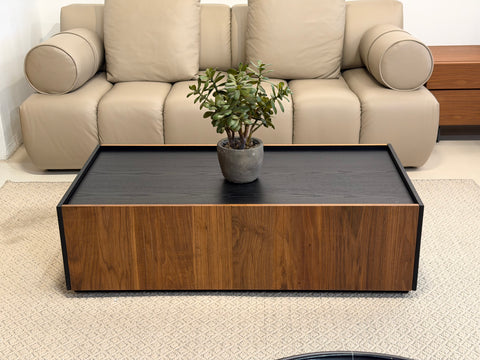 Luisa Wood Coffee Table (with Storage)