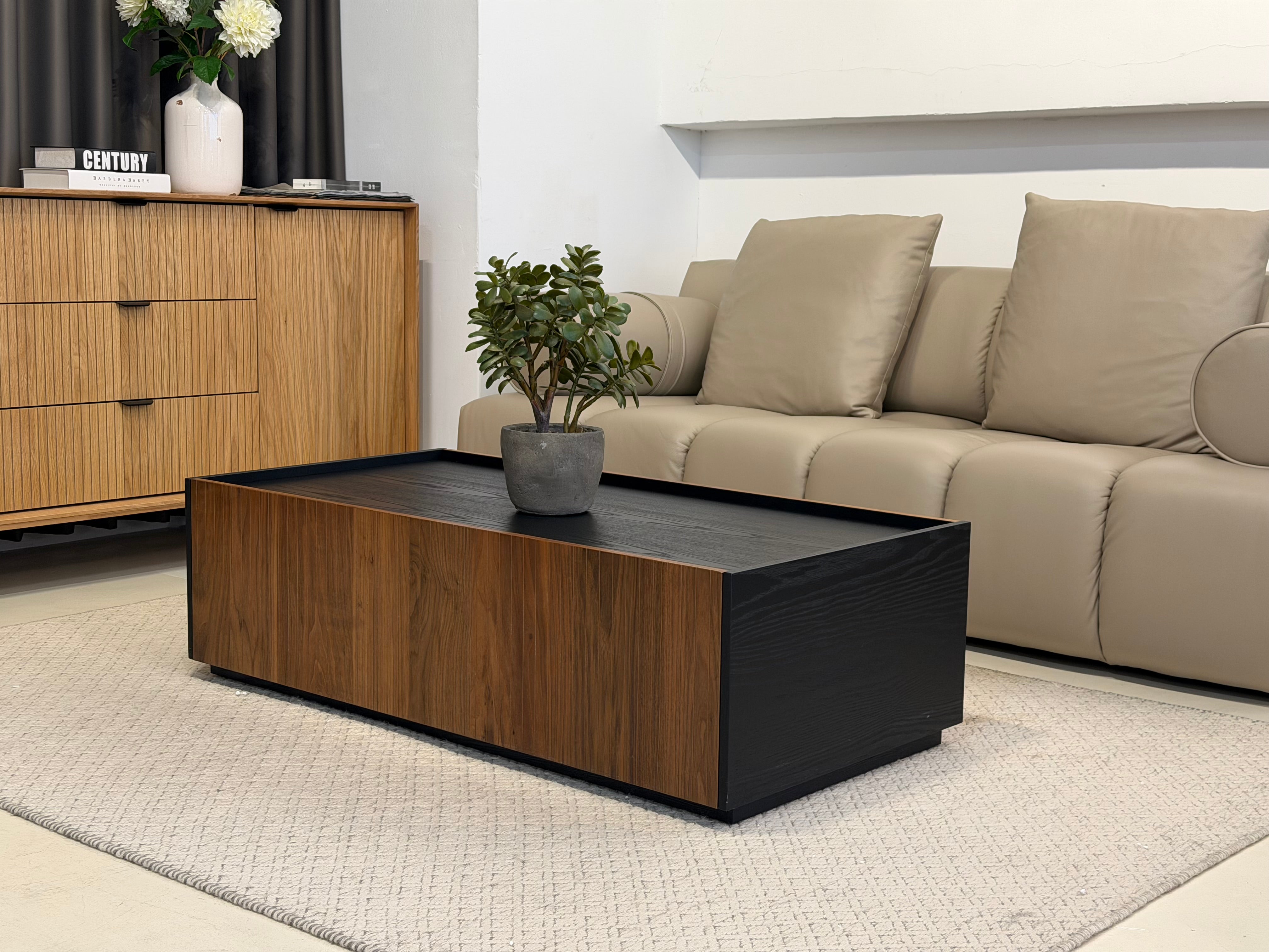 Luisa Wood Coffee Table (with Storage)