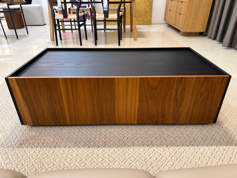 Luisa Wood Coffee Table (with Storage)